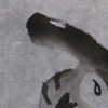 Parasaurolophus thumbnail