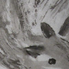 Squirrel thumbnail